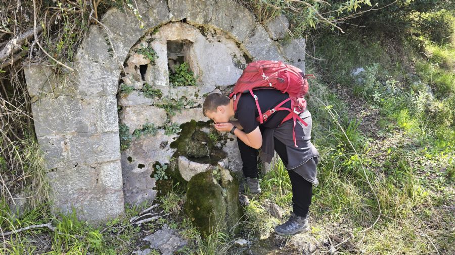 טרק המנליון